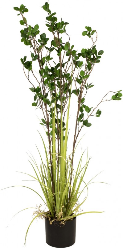 EUROPALMS Immergrünstrauch mit Gras Kunstpflanze - 120 cm 