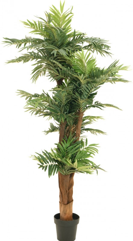 EUROPALMS Areca Palme Kunstpflanze - 170cm