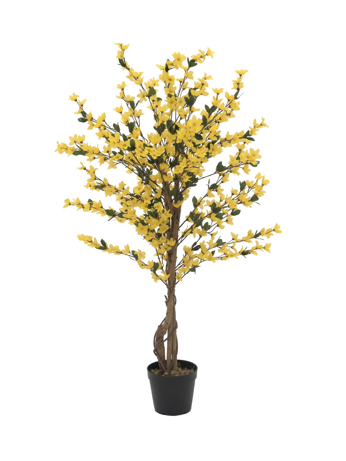 EUROPALMS Forsythienbaum mit 4 Stämmen gelb - 120 cm 