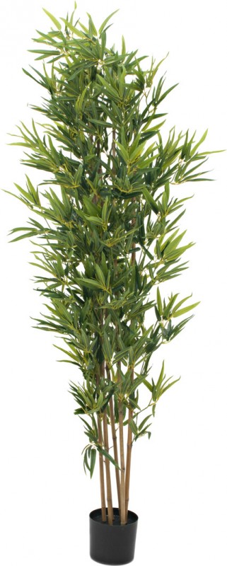 EUROPALMS Bambus deluxe Kunstpflanze - 180cm 